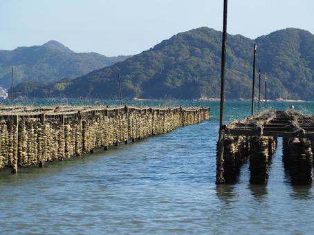 牡蠣養殖の風景 牡蠣養殖,瀬戸内の風景,漁業の写真素材
