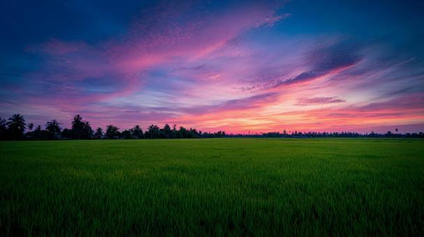 夕焼けと田園風景 夕焼けと田園風景の写真