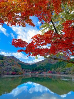 秋晴れの湖 秋,秋晴れ,青空の写真素材