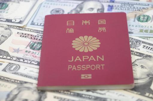 ドル パスポート ドル,パスポート,紙幣の写真素材