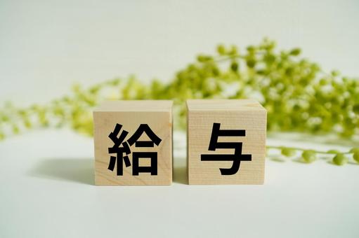 The word "salary" written on a wooden block, JPG The word "salary" written on a wooden block, JPG