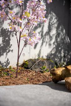 春の光と桜色の花と影の写真