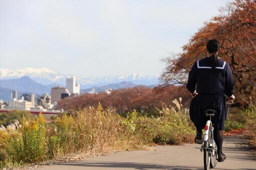 もうすぐ冬 秋,紅葉,自転車の写真素材