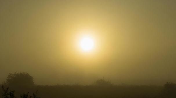 霧の朝の日の出 霧の朝の日の出の写真