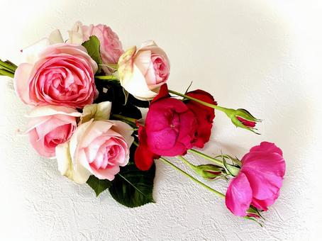 薔薇の花束 06 薔薇の花束 06 バラ,薔薇,花の写真素材