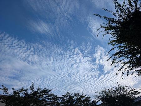 夏の終わりの空 夏の終わりの空 空,自然,風景の写真素材