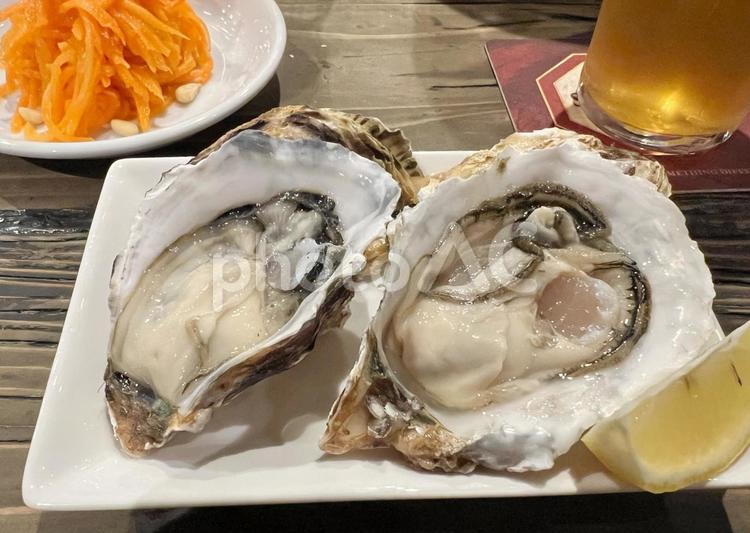 殻付き生牡蠣 牡蠣,殻付き,生牡蠣の写真素材