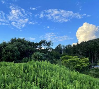 夏の終わり山間の青空に湧き立つ入道雲 夏の終わり山間の青空に湧き立つ入道雲の写真