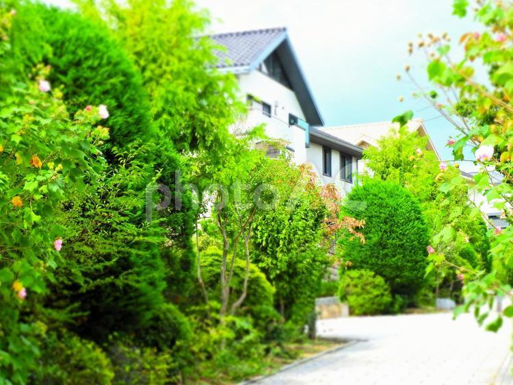 住宅街にイメージ 住宅,家,戸建ての写真素材