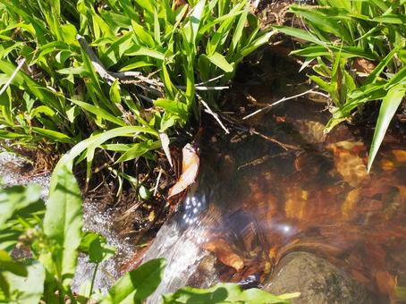 水 水の写真