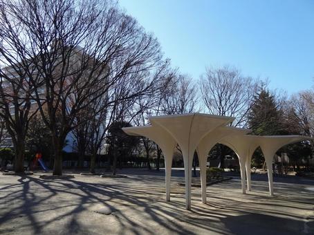 冬のこどものひろば公園 冬のこどものひろば公園 こどものひろば公園,木,空の写真素材