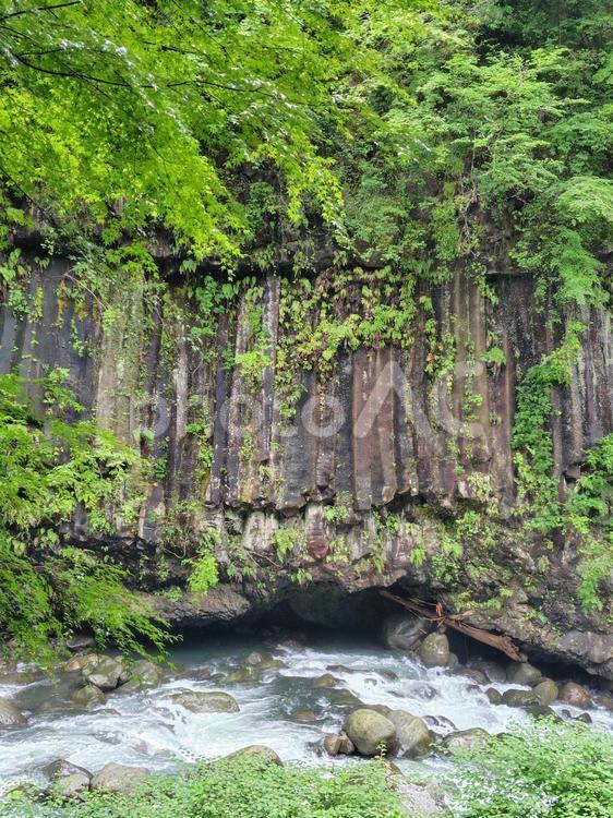 柱状節理　場所:霧島神水峡 柱状節理,霧島神水峡,岩盤と川の写真素材