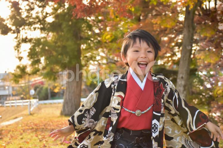 七五三の５歳の男の子 11月,お祝い,お祝いごとの写真素材