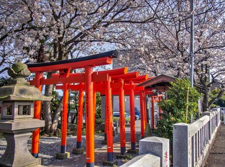 港稲荷神社にて2 港稲荷神社にて2の写真