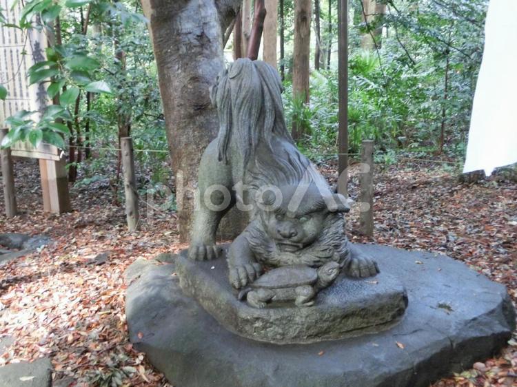 駒木諏訪神社の風景-51 駒木諏訪神社,千葉県流山市,諏訪之宮の写真素材