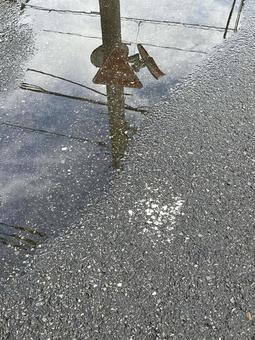 水たまり 水たまりの写真