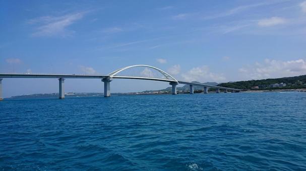 大橋 海 大橋 海の写真