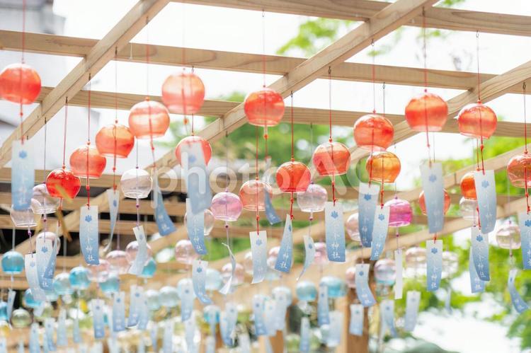 夏休み、神社のカラフルな風鈴 風鈴,夏祭り,ガラスの写真素材