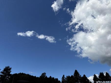 青い空と雲と森林 青い空と雲と森林の写真