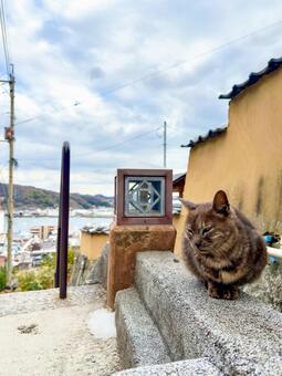 夕焼け空としまなみ海道の橋の構造 橋,夕焼け,夕景の写真素材