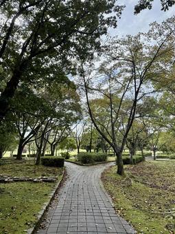 越前陶芸村の景色　Y字路 舗装,タイル,y字路の写真素材