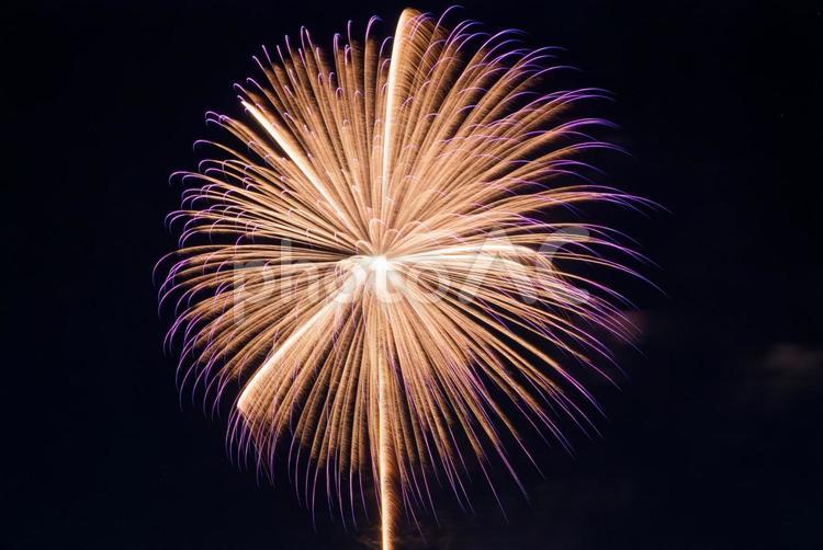 打上げ花火　金色、紫色 打上げ花火,打ち上げ花火,花火の写真素材