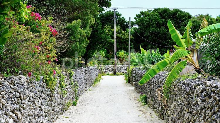 沖縄県竹富島の街並み 沖縄,竹富島,八重山諸島の写真素材