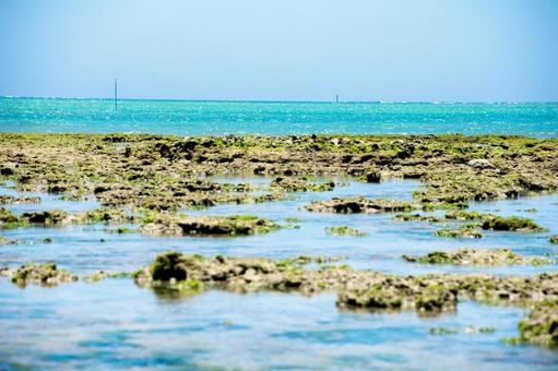 浅瀬 浅瀬の写真