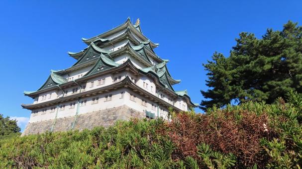 名古屋城　天守　大天守 名古屋城,尾張徳川家,御三家の写真素材