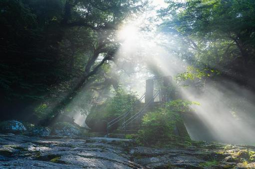 熊本-【菊池渓谷の光芒】 熊本,菊池渓谷,川の写真素材