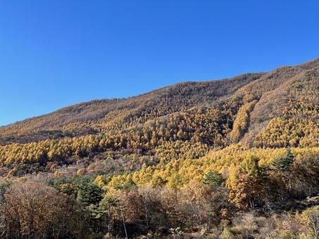 秋の山岳風景 秋の山,黄葉,秋の写真素材