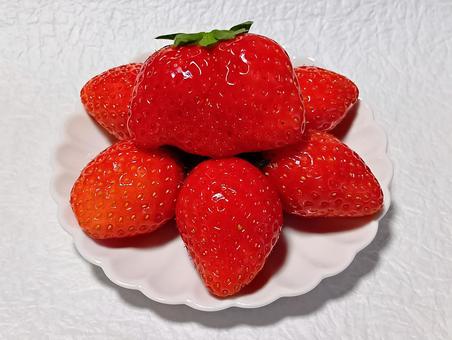 イチゴ イチゴ,果物,スイーツの写真素材
