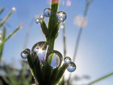 Water droplets and morning light landscape, JPG Water droplets and morning light landscape, JPG