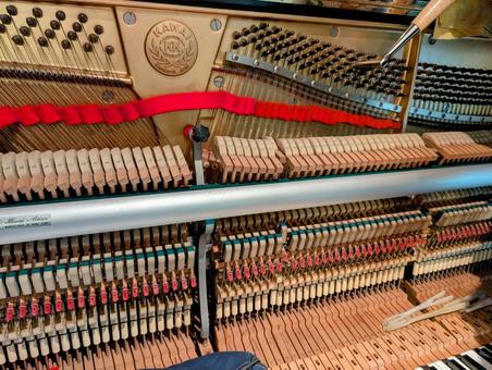 ピアノの調律 調律,ピアノ,調律師の写真素材