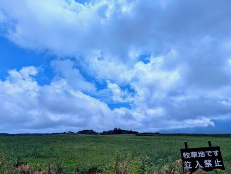 牧草地 牧草地 牧草地,牧草,空の写真素材