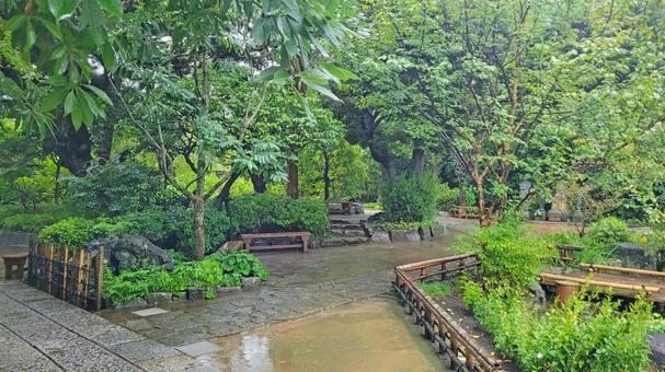 坂東33観音 04番 長谷寺 雨天の参道 坂東33観音 04番 長谷寺 雨天の参道 長谷寺,海光山,慈照院の写真素材