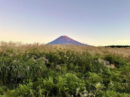 秋色に変わる草原と富士山 秋色に変わる草原と富士山の写真