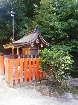 京都 上賀茂神社 境内 建物 風景  京都,上賀茂神社,境内の写真素材