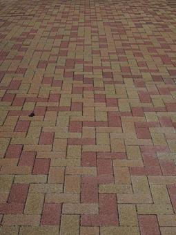 タイル模様 タイル,地面,パターンの写真素材