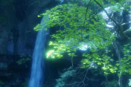 Photo, waterfall, sengataki, blue maple, 