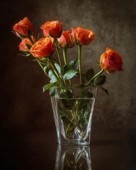 優雅なバラの花束 優雅なバラの花束の写真