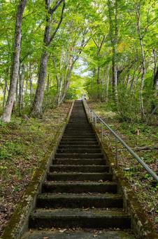 長老神社⑸ 長老神社⑸ 神社,長老神社,神社仏閣の写真素材