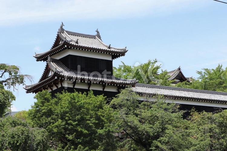 郡山城跡　追手東隅櫓 郡山城跡,追手東隅櫓,郡山城跡公園の写真素材