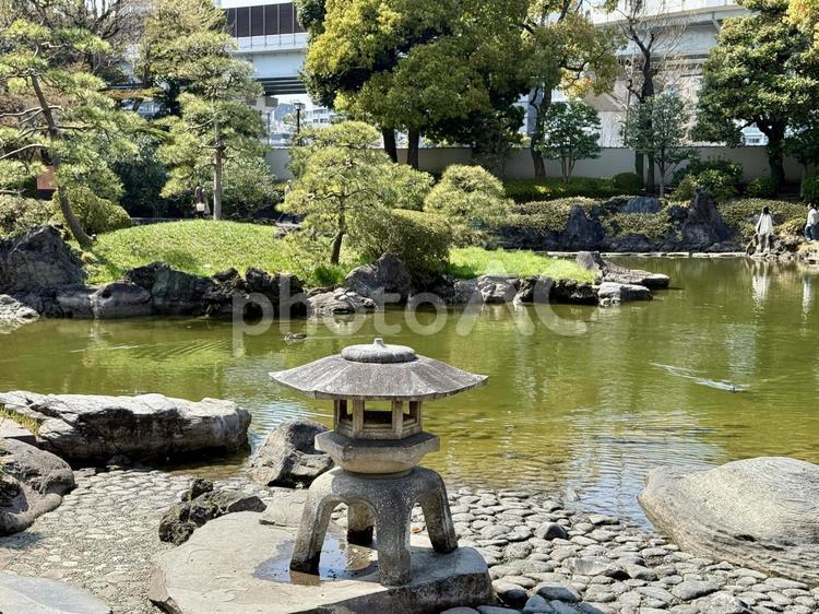 春の墨田区立旧安田庭園 春,潮入の池,隅田川の写真素材