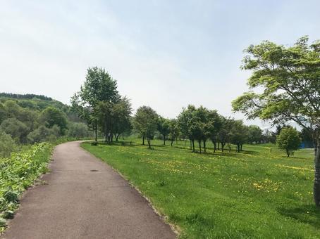 散歩道 散歩道の写真
