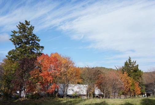 秋の雲と紅葉風景 秋,紅葉,カラフルの写真素材