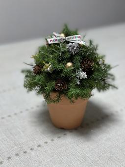 小さなクリスマスツリー 植木鉢,クリスマスツリー,ハンドメイドの写真素材