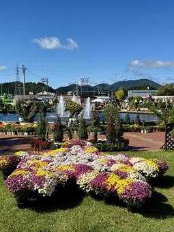 秋の武生中央公園 秋の武生中央公園 武生中央公園,福井県,越前市の写真素材