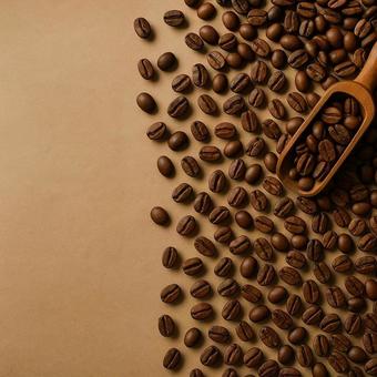 コーヒー豆 コーヒー豆の写真