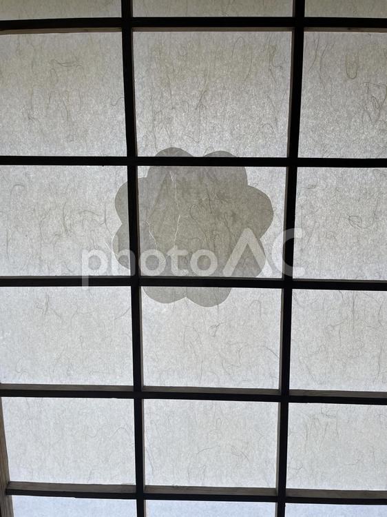 優しい光 - 和紙を通した光 和紙,光,影の写真素材